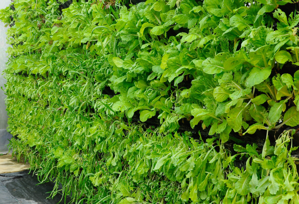 Vertical Farming